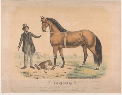 Horse of W.L. de Jager from Wartena (De Jonker) by Abraham Hendrik Winter