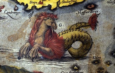 Representation of a marine monster half horse half sea snake. Plate from an edition of 
