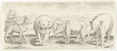 Gazelle, Elephant, and Rhinoceros (Animals series) by Abraham de Bruyn (possibly)