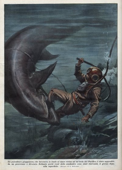 A Japanese diver with a scaphandler was devoured by a shark in the Pacific Ocean. Illustration by Achille Beltrame from La domenica del corriere of 08/08/1937 by Achille Beltrame