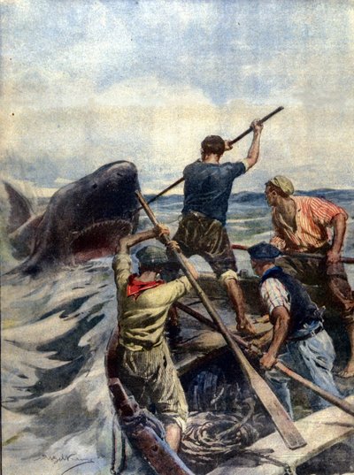 A Confrontation Between Sicilian Fishermen and a Huge Tiger Shark Ended with the Capture of the Sea Monster Which Weighed 12 Quintals. Illustration by A. Beltrame. La Domenica del Corriere. 1908 by Achille Beltrame