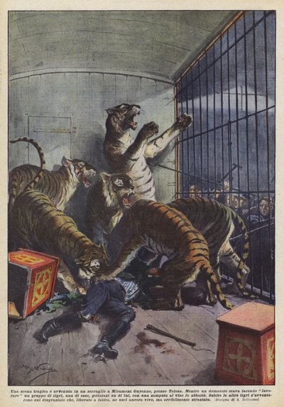 A Tragic Scene in a Menagerie in Miramont Guyenne, Near Toulouse by Achille Beltrame
