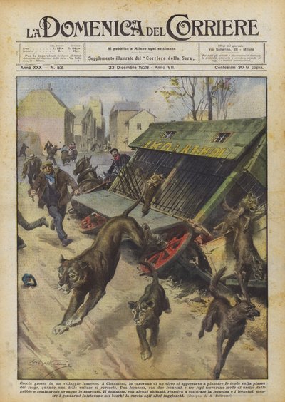 Big game hunting in a French village by Achille Beltrame