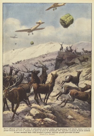 Hungry deer supplied from the sky by Achille Beltrame