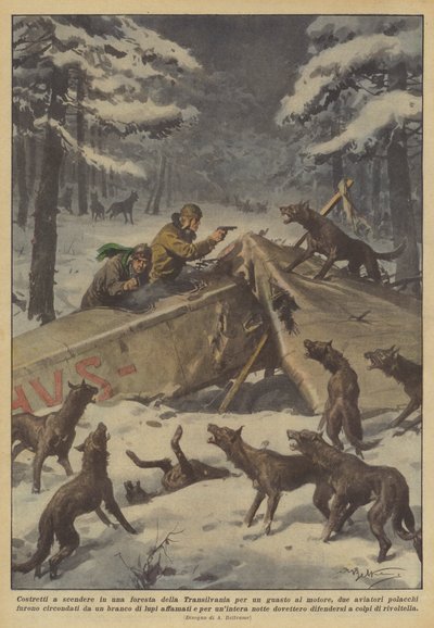 Forced to Land in a Transylvanian Forest Due to Engine Failure... by Achille Beltrame