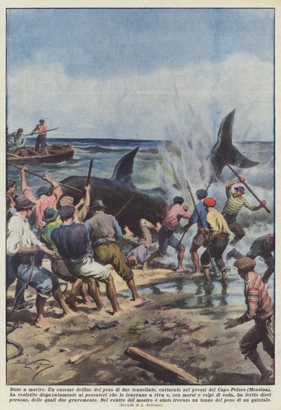 Hard to Die by Achille Beltrame