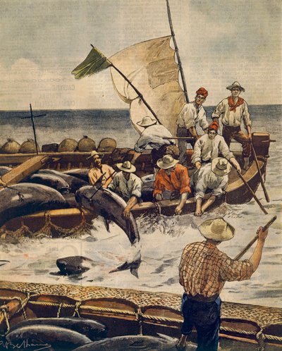 Extraordinary bluefin tuna fishing at Piana Island, Sardinia by Achille Beltrame