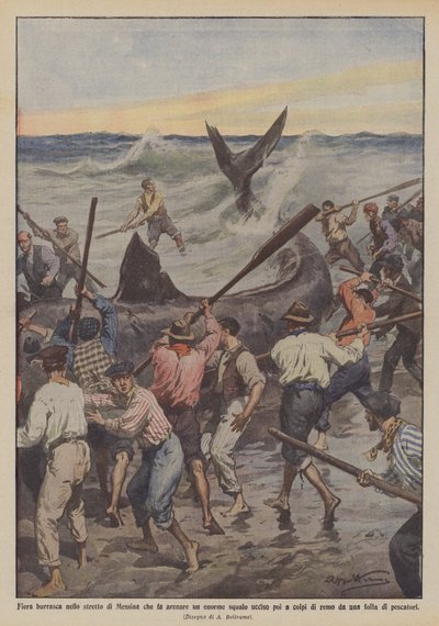 Fierce Storm in the Strait of Messina Strands a Huge Shark, Later Killed with Oars by Achille Beltrame
