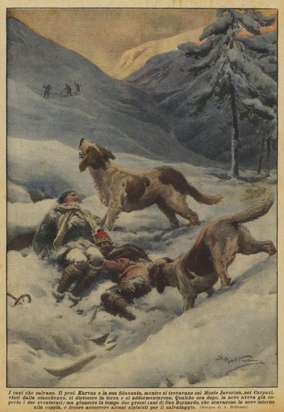 The dogs that save by Achille Beltrame