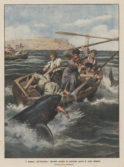 The dramas of the Adriatic, girls attacked by sharks near the Dalmatian coast by Achille Beltrame