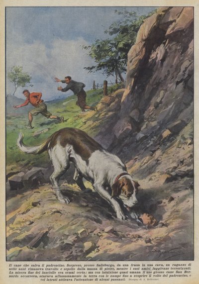 The Dog That Saves Its Little Master by Achille Beltrame