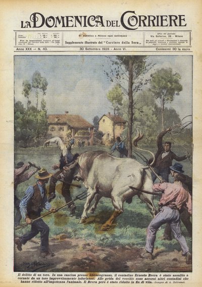 The Crime of a Bull by Achille Beltrame