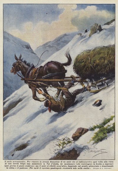 The Neurasthenic Mule by Achille Beltrame