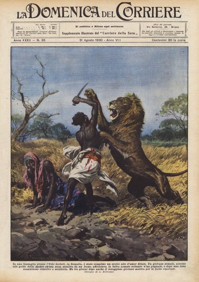 In a thicket near the Uebi Scebeli, in Somalia, a heroic act of filial love was performed by Achille Beltrame