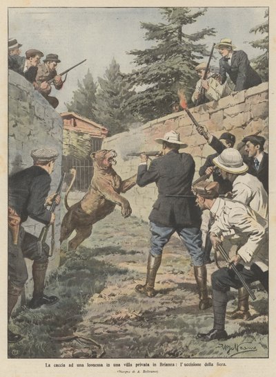 The Hunt for a Lioness in a Private Villa in Brianza, the Killing of the Beast by Achille Beltrame