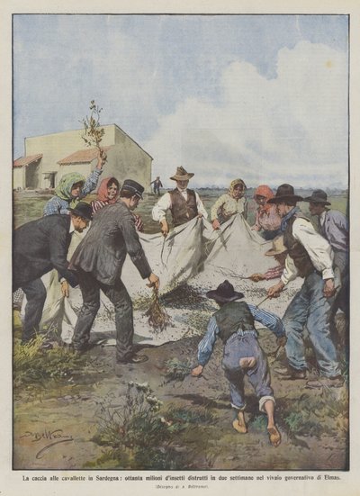 The Locust Hunt in Sardinia: Eighty Million Insects Destroyed in Two Weeks by Achille Beltrame