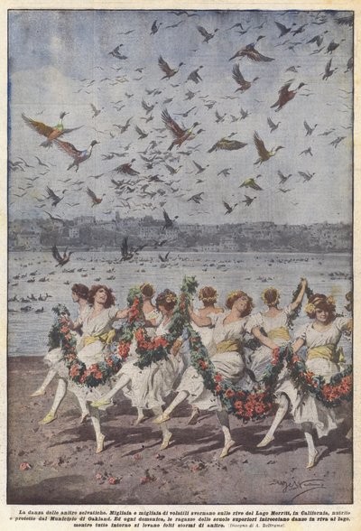 The Dance of the Wild Ducks by Achille Beltrame