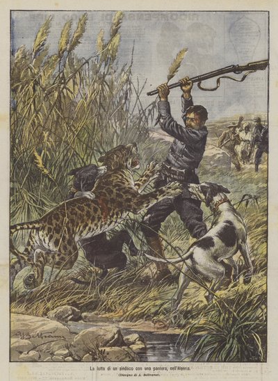 The Struggle of a Mayor with a Panther in Algeria by Achille Beltrame
