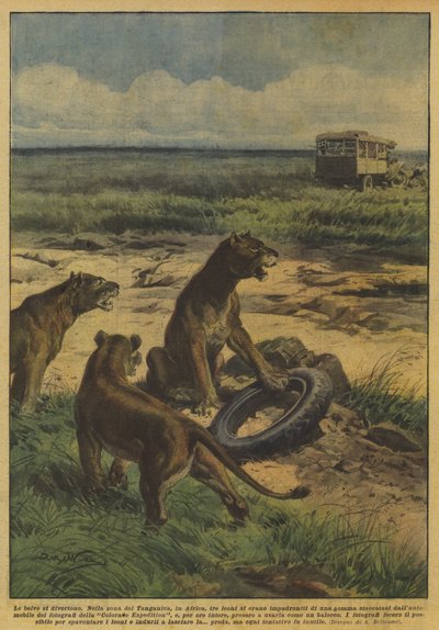 The beasts have fun by Achille Beltrame