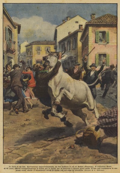 The fury of an ox by Achille Beltrame