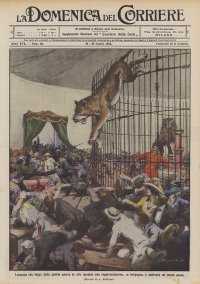 Lioness Escapes from Open Cage During a Performance in Burgundy by Achille Beltrame