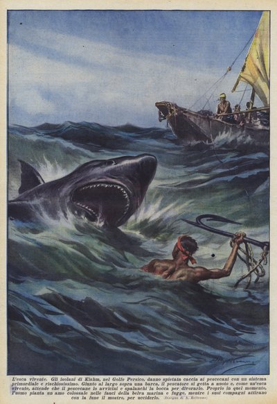 Living bait by Achille Beltrame