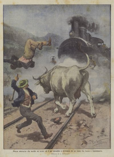 Enraged Cow Kills a Man and is Then Hit and Crushed by a Train Between Lucca and Castelnuovo by Achille Beltrame