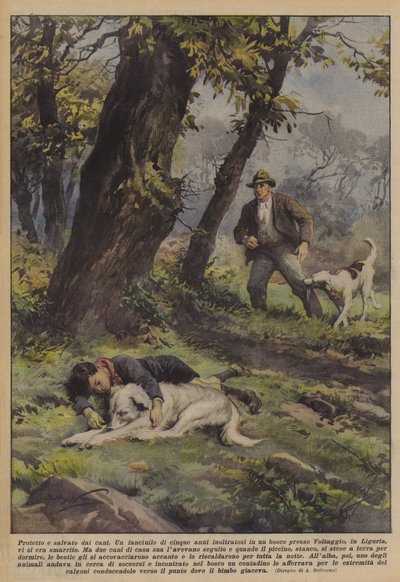 Protected and Saved by Dogs by Achille Beltrame