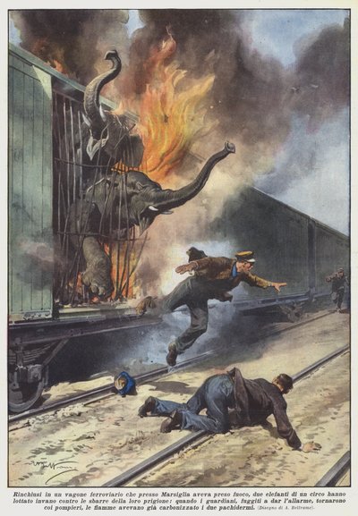 Locked in a Railway Carriage That Caught Fire Near Marseille, Two Elephants by Achille Beltrame