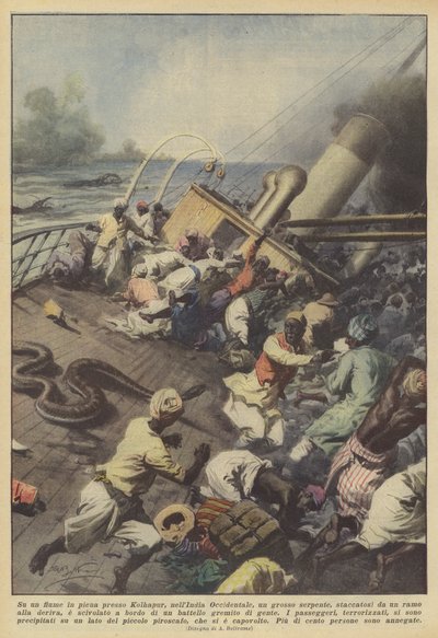 On a Flooded River Near Kolhapur in Western India, a Large Snake Detached from... by Achille Beltrame