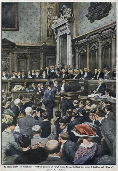 The grand procès: the great procès in Paris by Madame Caillaux who murdered the director of the Figaro. 