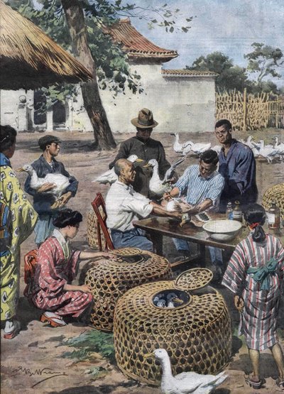 Tokyo Imperial Palace Garden: Vaccination and veterinary assistance for ducks to protect them from Cholera. Illustration of Achille Beltrame from 1928. by Achille Beltrame