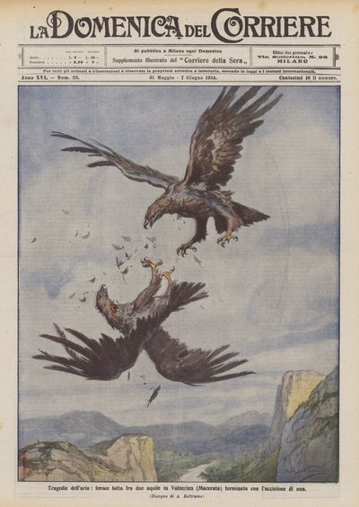 Air Tragedies, Fierce Fight Between Two Eagles in Valnerina (Macerata) Ending with the Killing of One by Achille Beltrame