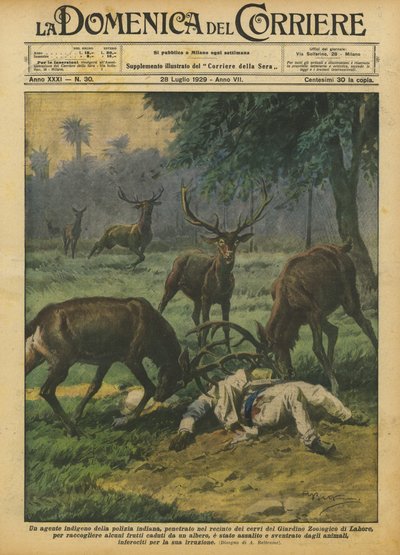 An Indigenous Indian Police Officer Entered the Deer Enclosure of the Zoological Garden? by Achille Beltrame