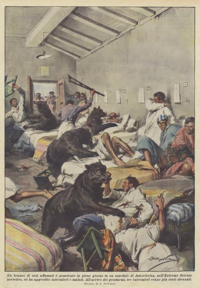 A pack of hungry bears entered a hospital in Jakovlevka in broad daylight by Achille Beltrame
