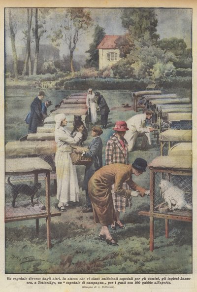 A Different Kind of Hospital by Achille Beltrame