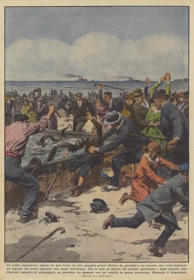 A Giant Octopus Displayed in a Tank on a Beach Near Toulon by Achille Beltrame