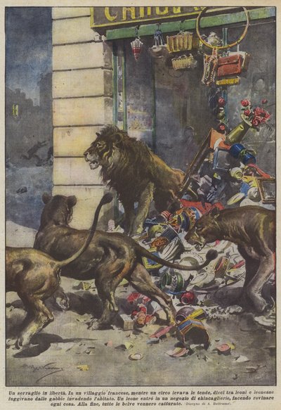 A Menagerie in Freedom by Achille Beltrame