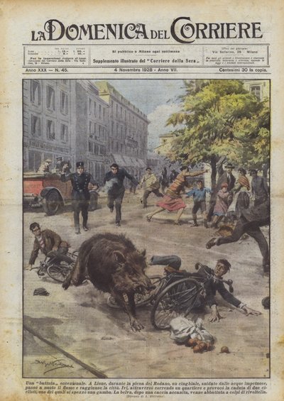 An exceptional hunt by Achille Beltrame