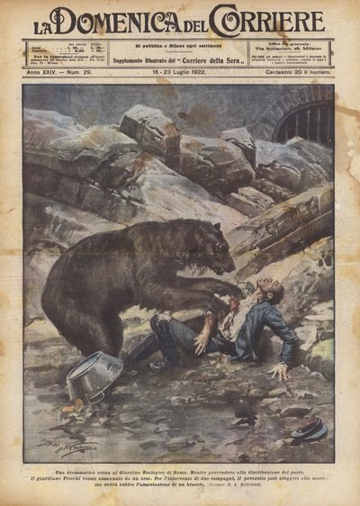 A Dramatic Scene at the Rome Zoo by Achille Beltrame