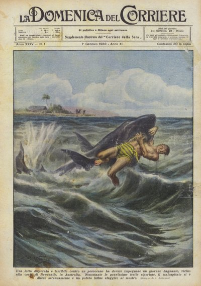 A Desperate and Terrible Struggle Against a Shark Was Fought by a Young Swimmer... by Achille Beltrame