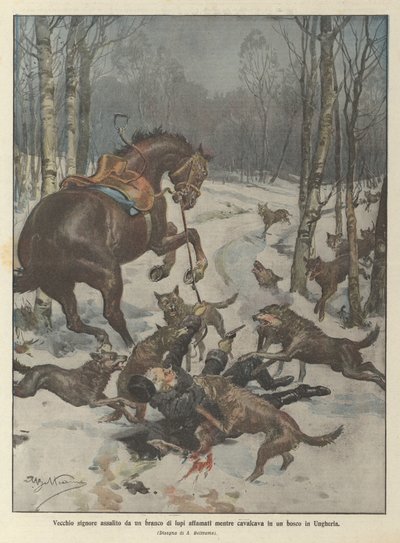 Old Gentleman Attacked by a Pack of Hungry Wolves While Riding in a Forest in Hungary by Achille Beltrame