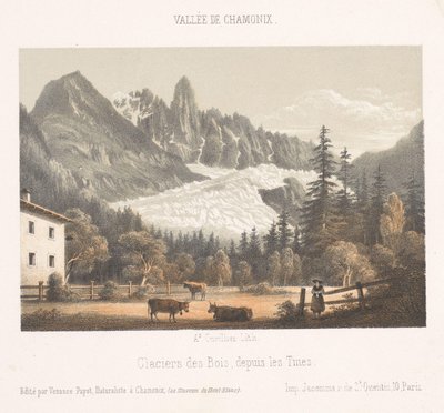 View of Chamonix and Mont Blanc from the North by Ad. Cuvillier
