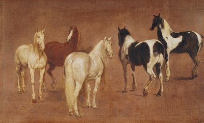 Study of Five Horses by Adam Frans van der Meulen