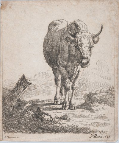 A Cow, Seen from the Front, 1805 by Adam von Bartsch