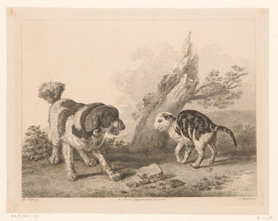 Dog and cat in fighting stance facing each other by Adam von Bartsch
