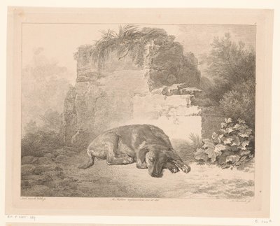 Sleeping Dog in Front of a Wall by Adam von Bartsch