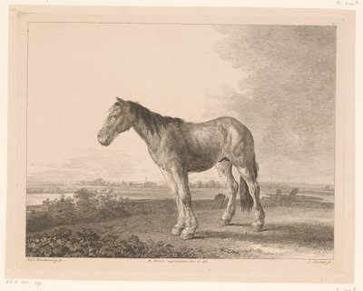 Standing Horse in a River Landscape (Animals after Paintings by Dutch Masters) by Adam von Bartsch