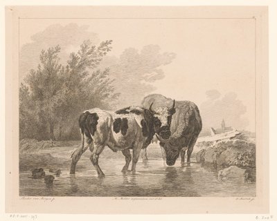 Two Cows in a Stream by Adam von Bartsch