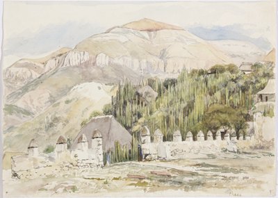 Church Enclosure, Metztitlán, Hidalgo, Mexico by Adela Breton